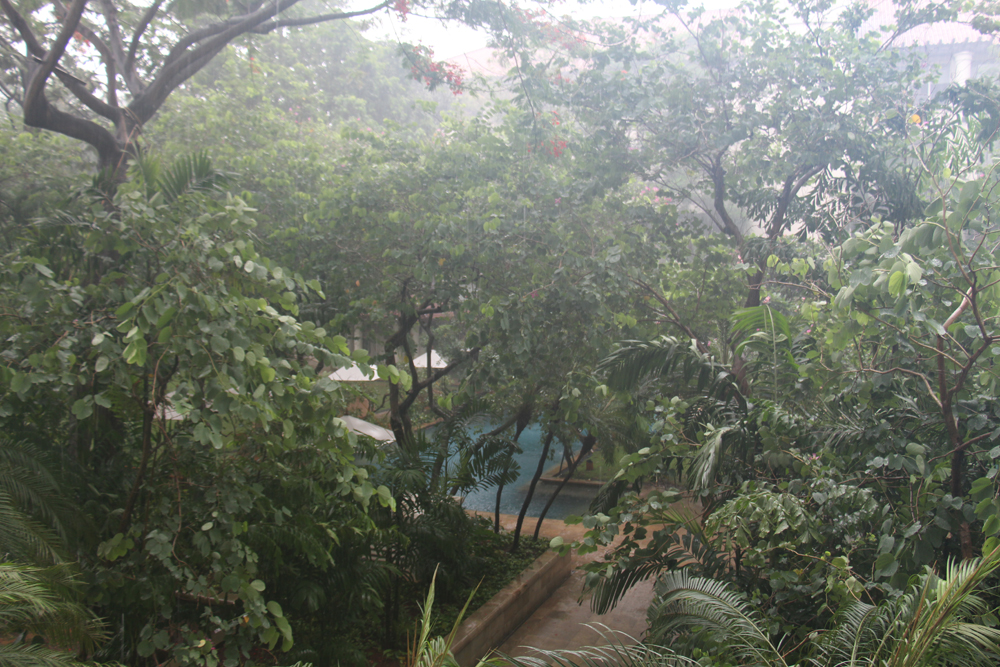monsoon Dharmawangsa